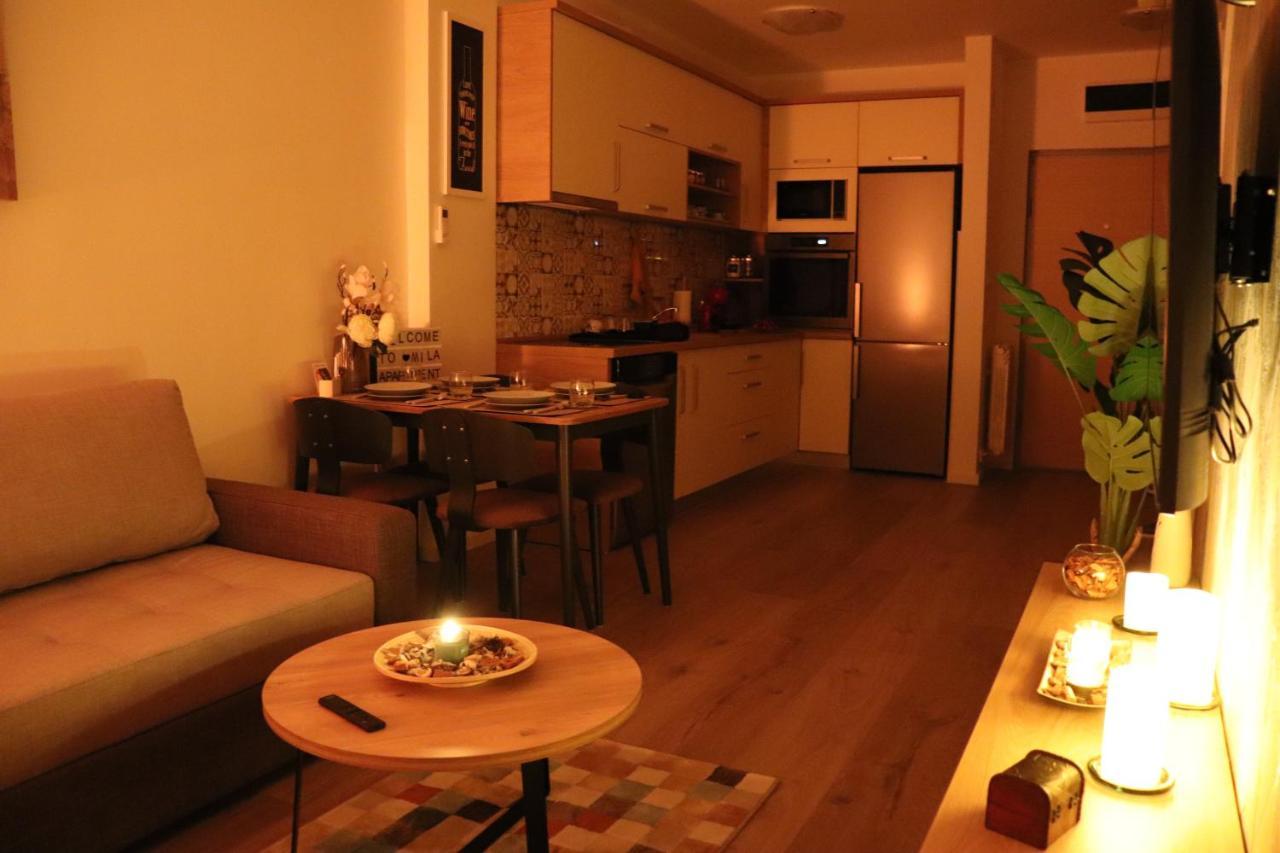 Apartman Mila 21 Belgrade Luaran gambar